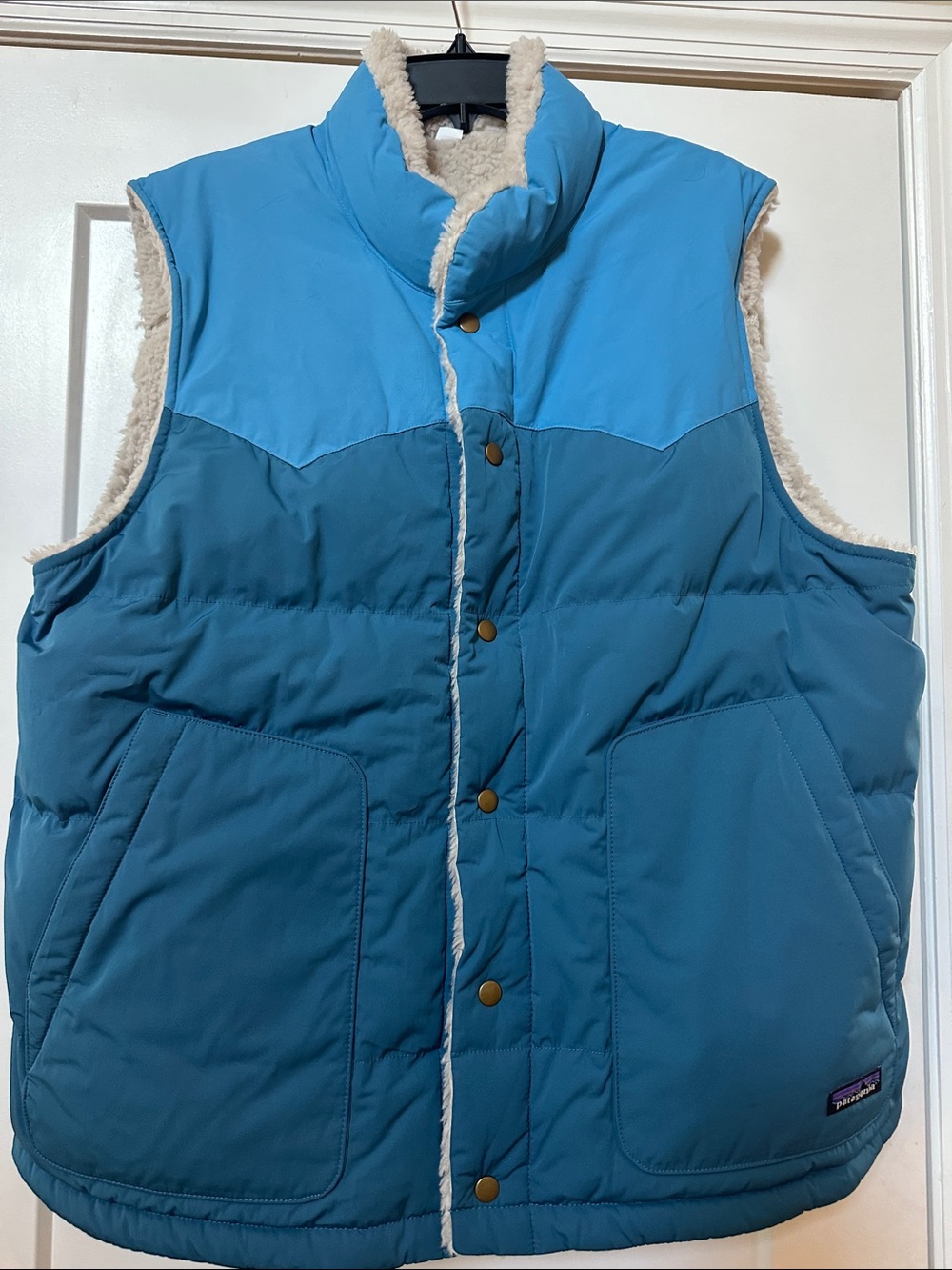 Patagonia Men's Two-Tone Teal & Sky Blue Quilted Vest with Sherpa Trim